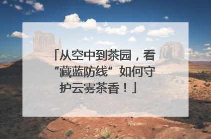 从空中到茶园，看“藏蓝防线”如何守护云雾茶香！