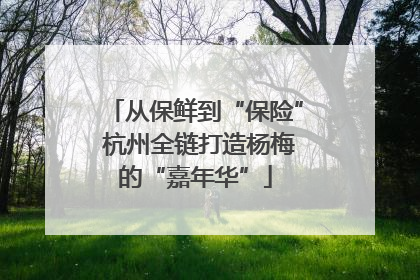 从保鲜到“保险” 杭州全链打造杨梅的“嘉年华”