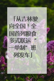 从吉林驶向全国！全国首列粮食多式联运“一单制”班列发车