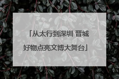 从太行到深圳 晋城好物点亮文博大舞台