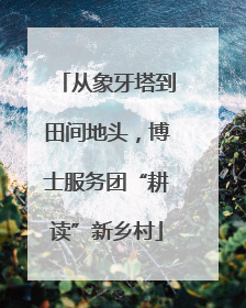 从象牙塔到田间地头，博士服务团“耕读”新乡村