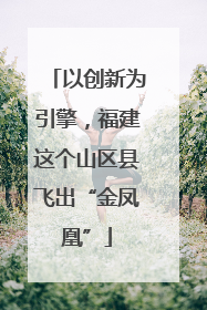 以创新为引擎，福建这个山区县飞出“金凤凰”