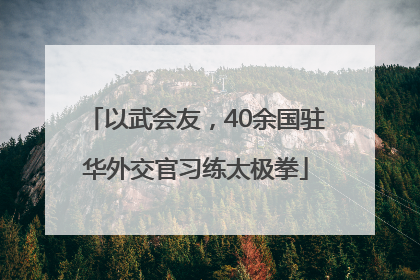 以武会友，40余国驻华外交官习练太极拳