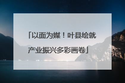 以面为媒！叶县绘就产业振兴多彩画卷