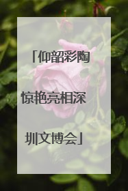 仰韶彩陶惊艳亮相深圳文博会