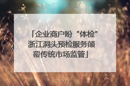 企业商户盼“体检” 浙江洞头预检服务颠覆传统市场监管