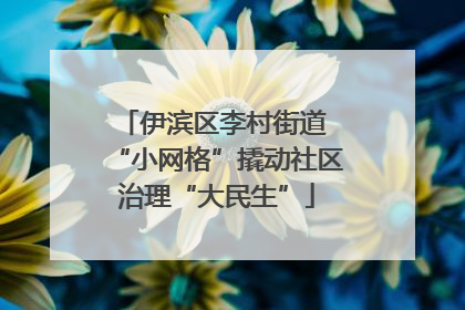 伊滨区李村街道 “小网格”撬动社区治理“大民生”