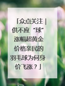 众点关注｜供不应“球” 涨幅超黄金 价格亲民的羽毛球为何身价飞涨？