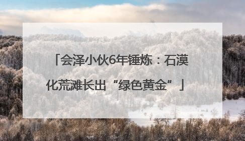 会泽小伙6年锤炼：石漠化荒滩长出“绿色黄金”