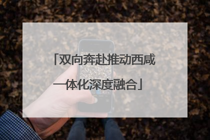 双向奔赴推动西咸一体化深度融合