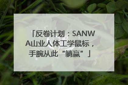 反卷计划：SANWA山业人体工学鼠标，手腕从此“躺赢”