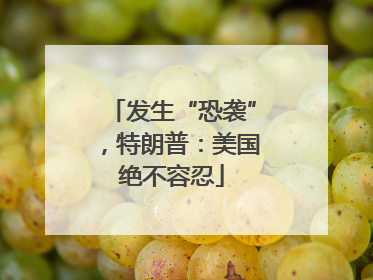 发生“恐袭”，特朗普：美国绝不容忍