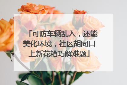 可防车辆乱入，还能美化环境，社区胡同口上新花箱巧解难题