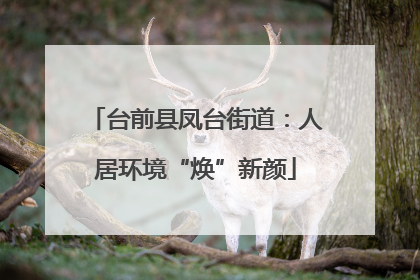 台前县凤台街道：人居环境“焕”新颜