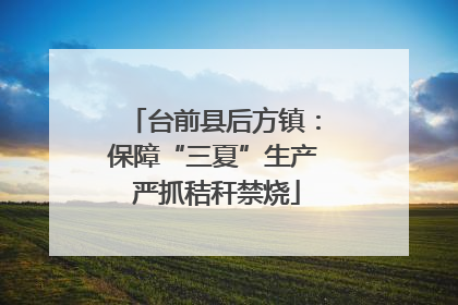 台前县后方镇：保障“三夏”生产 严抓秸秆禁烧