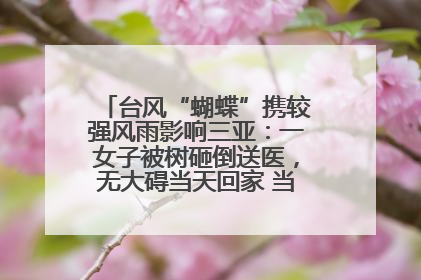台风“蝴蝶”携较强风雨影响三亚：一女子被树砸倒送医，无大碍当天回家 当地已紧急清障