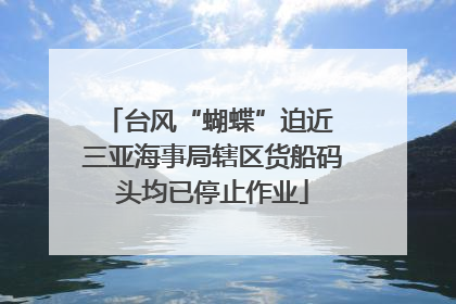 台风“蝴蝶”迫近 三亚海事局辖区货船码头均已停止作业
