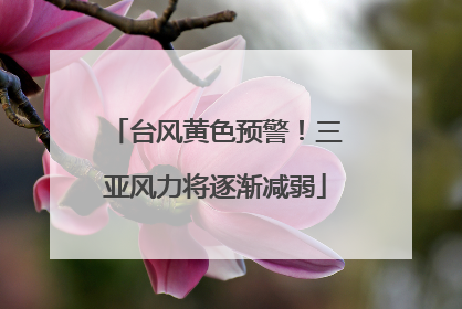 台风黄色预警！三亚风力将逐渐减弱
