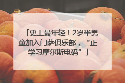 史上最年轻！2岁半男童加入门萨俱乐部，“正学习摩尔斯电码”