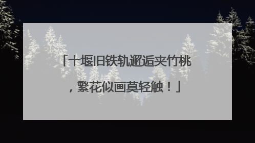 十堰旧铁轨邂逅夹竹桃，繁花似画莫轻触！
