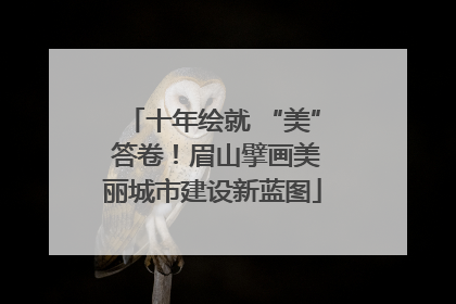 十年绘就 “美” 答卷！眉山擘画美丽城市建设新蓝图