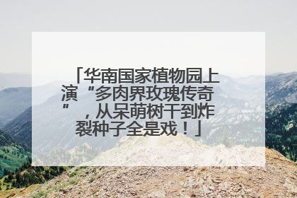 华南国家植物园上演“多肉界玫瑰传奇”，从呆萌树干到炸裂种子全是戏！