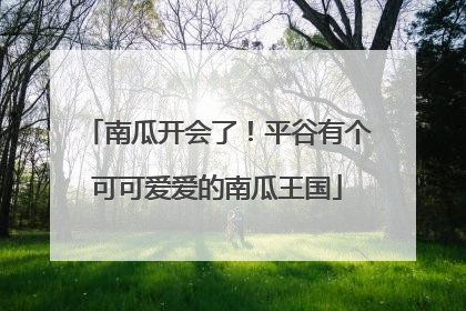 南瓜开会了！平谷有个可可爱爱的南瓜王国