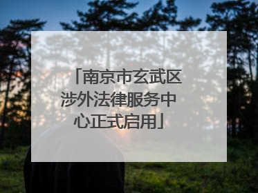 南京市玄武区涉外法律服务中心正式启用