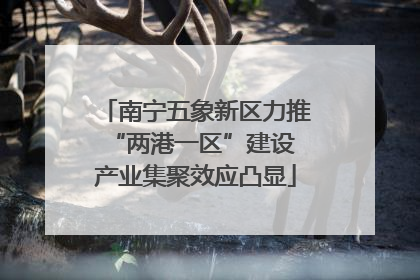 南宁五象新区力推“两港一区”建设 产业集聚效应凸显