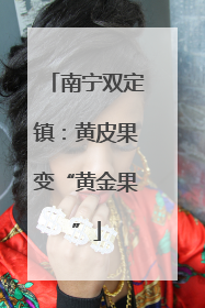 南宁双定镇：黄皮果变“黄金果”
