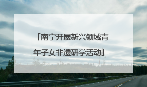 南宁开展新兴领域青年子女非遗研学活动