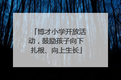 博才小学开放活动，鼓励孩子向下扎根、向上生长