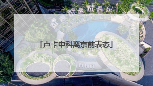 卢卡申科离京前表态
