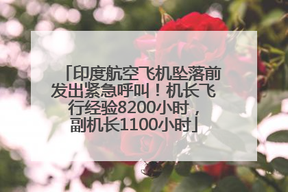 印度航空飞机坠落前发出紧急呼叫！机长飞行经验8200小时，副机长1100小时