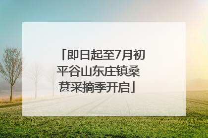 即日起至7月初 平谷山东庄镇桑葚采摘季开启