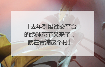 去年引爆社交平台的绣球花节又来了，就在青浦这个村