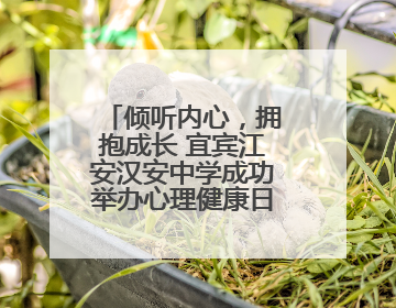 倾听内心，拥抱成长 宜宾江安汉安中学成功举办心理健康日主题游园会