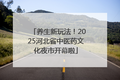 养生新玩法！2025河北省中医药文化夜市开幕啦