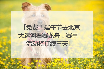 免费！端午节去北京大运河看赛龙舟，赛事活动将持续三天