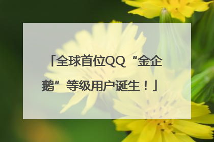 全球首位QQ“金企鹅”等级用户诞生！