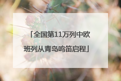 全国第11万列中欧班列从青岛鸣笛启程