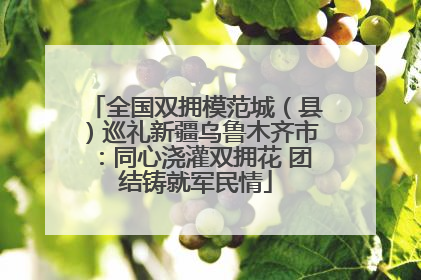 全国双拥模范城（县）巡礼新疆乌鲁木齐市：同心浇灌双拥花 团结铸就军民情