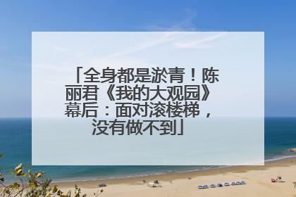 全身都是淤青！陈丽君《我的大观园》幕后：面对滚楼梯，没有做不到