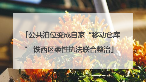 公共泊位变成自家“移动仓库” 铁西区柔性执法联合整治