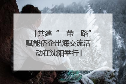 共建“一带一路”赋能侨企出海交流活动在沈阳举行