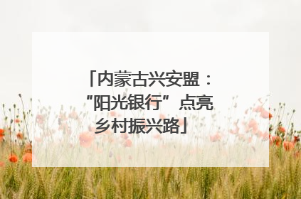内蒙古兴安盟：“阳光银行”点亮乡村振兴路