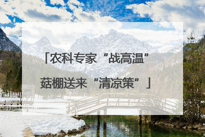 农科专家“战高温” 菇棚送来“清凉策”