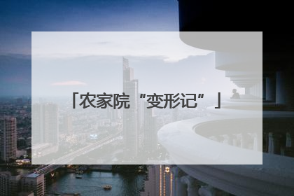 农家院“变形记”