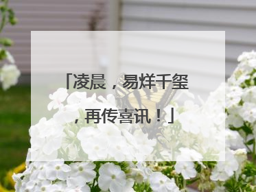 凌晨，易烊千玺，再传喜讯！