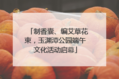 制香囊、编艾草花束，玉渊潭公园端午文化活动启幕